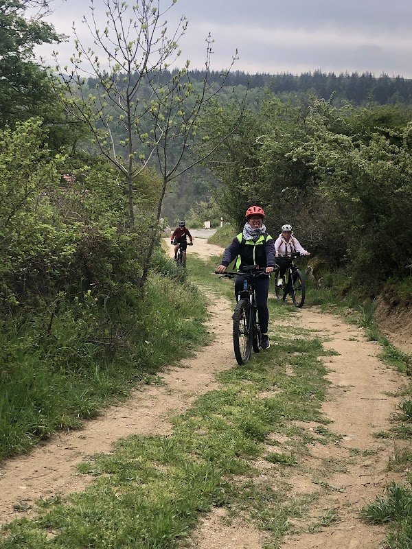 Tendency Bike - Photo 2