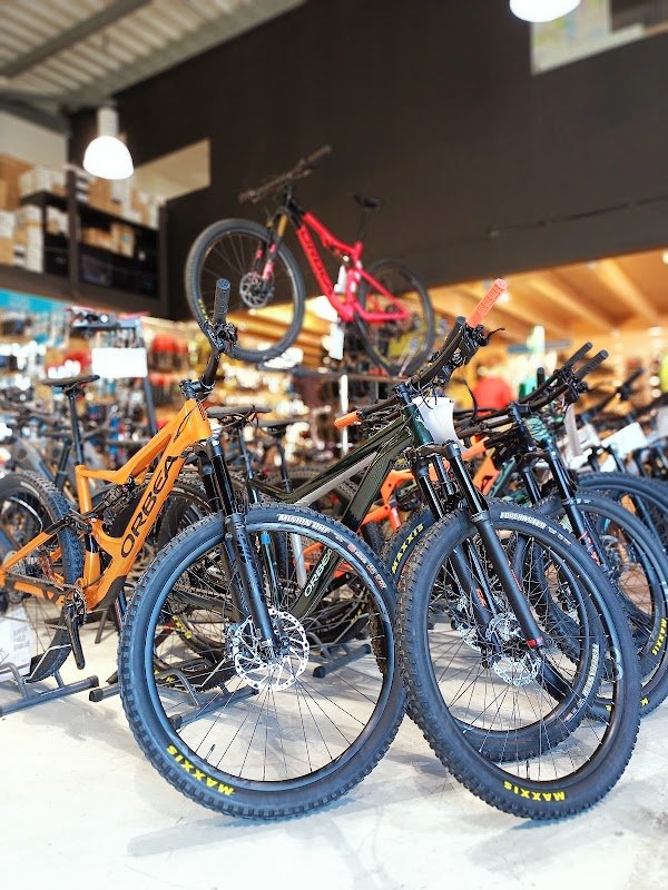 La Petite Reine - Photo 3