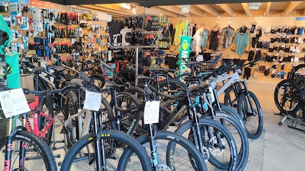 La Petite Reine - Photo 4