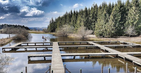 CycleXperience - Photo 4