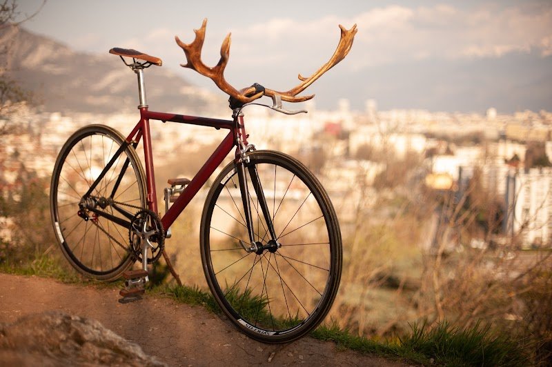 Cyclothérapeute - Atelier Vélo