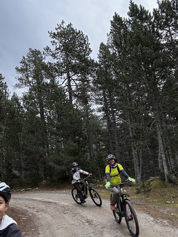 TEDDY BIKE - Photo 4