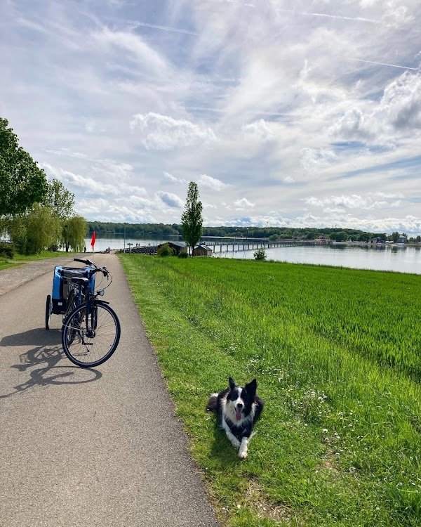 Rental Velo Der Lake - Photo 4