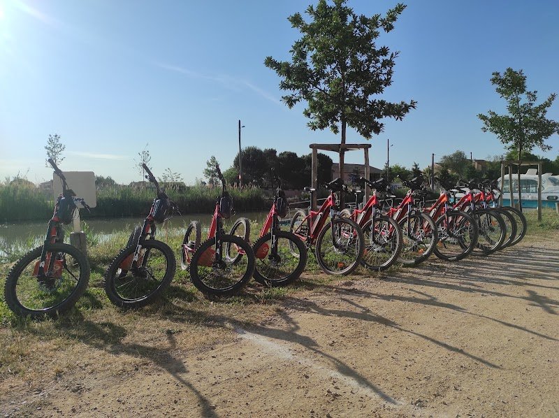 BIGUP Cycling