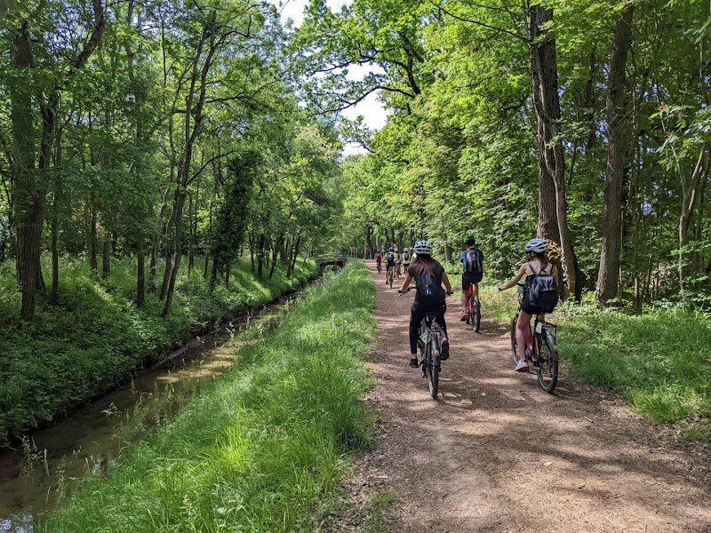 Stations Bee's Expérience Vélo- Sorèze