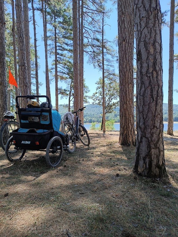 Stations Bee's Expérience Vélo- Sorèze - Photo 4