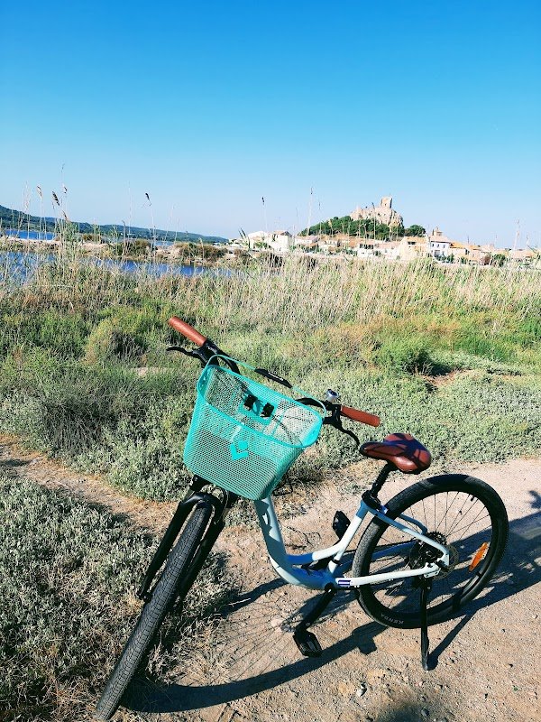 Santa Cruise - Location de Vélos - Photo 2