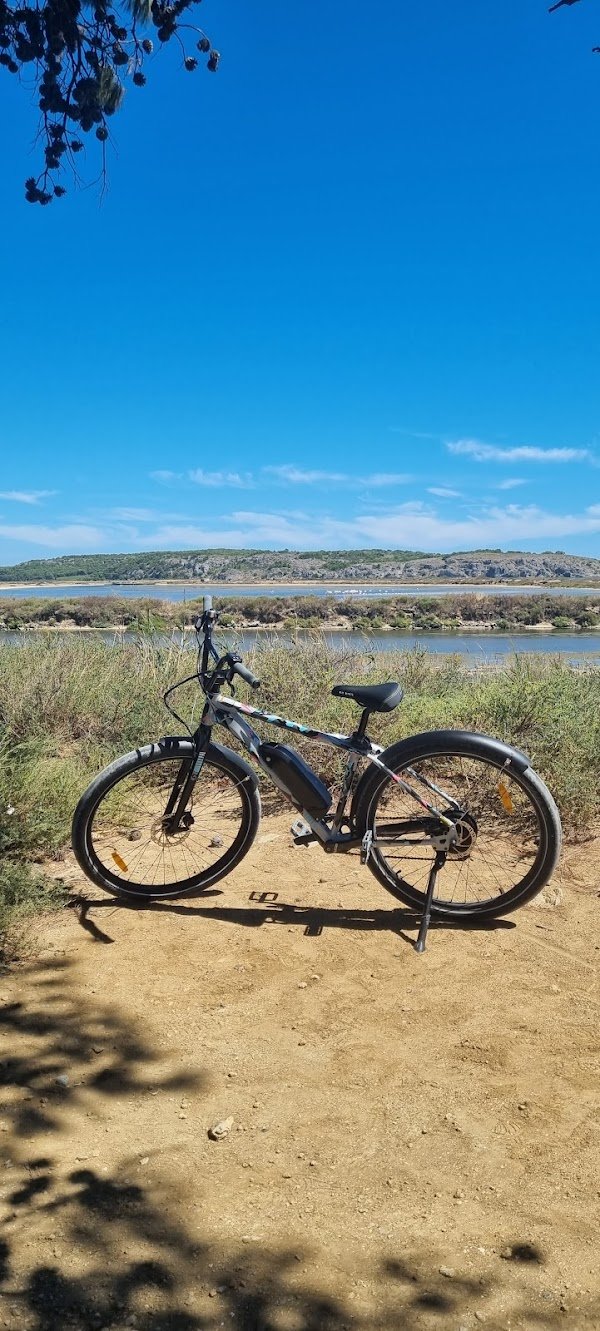 Santa Cruise - Location de Vélos - Photo 3