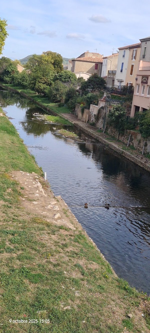 Mari Philippe - Photo 3