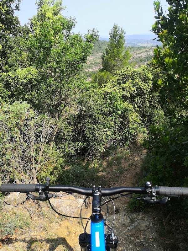 Vélo et compagnie - Photo 3