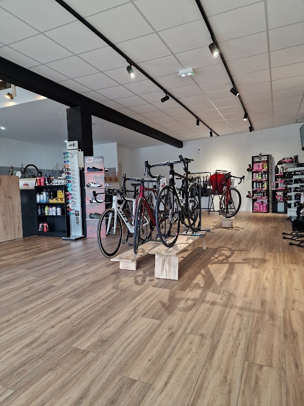 PIGNON SUR ROUE - Photo 3