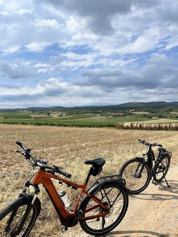 Easy Vélo Carcassonne - Photo 3