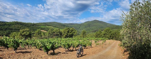 Les Vélos du Midi - Photo 4