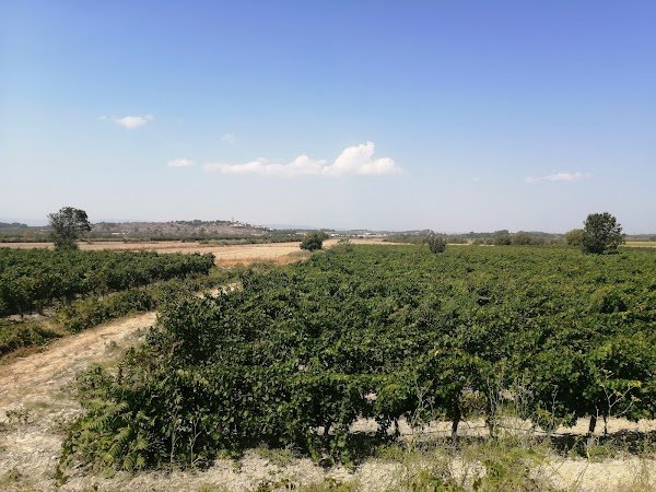 Vélorail du Canal du Midi - Photo 3