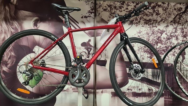 Botta Serge - Photo 3