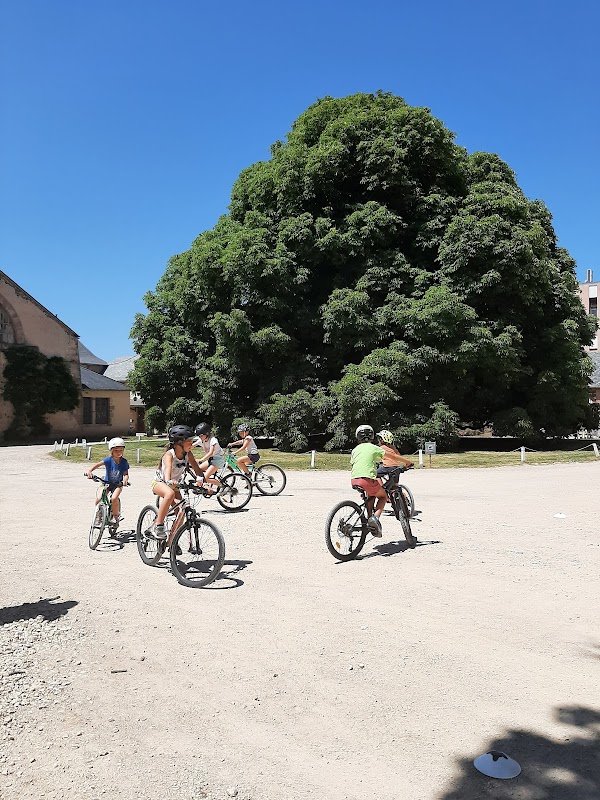 Association Vélocité Rodez Aveyron - Photo 3