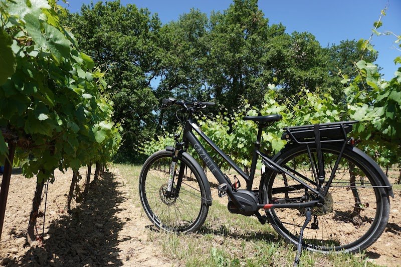 Sun-E-Bike - Magasin de vélo dans le Luberon (Location - Vente - Réparation)