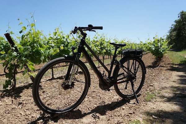 Sun-E-Bike - Magasin de vélo dans les Alpilles (Location - Vente - Réparation) - Photo 3