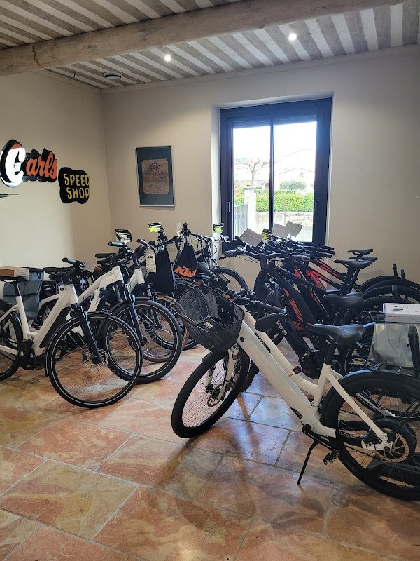 ELECTRIC MOVE - Photo 2