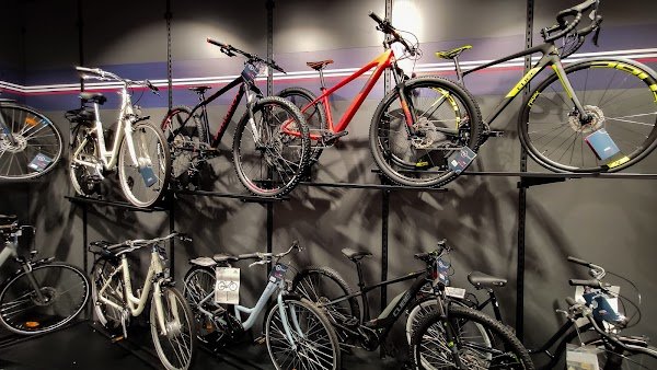 Mondovélo Dives sur mer - Photo 3