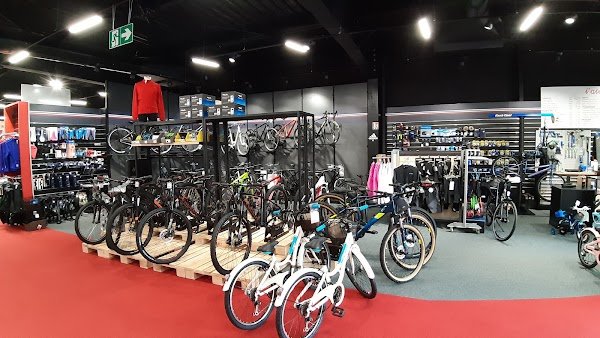 Sport 2000 Dives sur mer - Photo 2