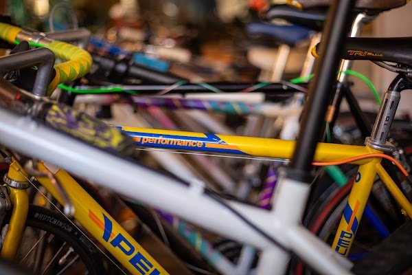 Rose Cambouis - Photo 3