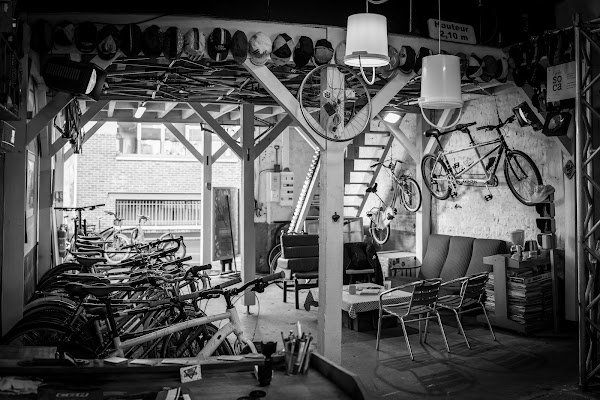 Rose Cambouis - Photo 4