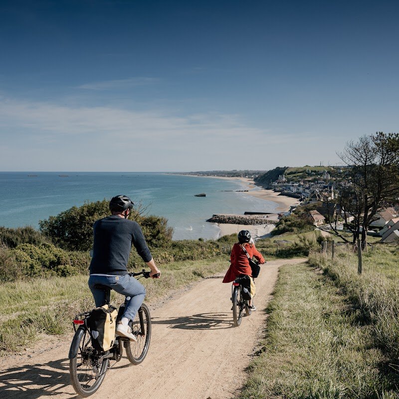 PETITE REINE NORMANDIE