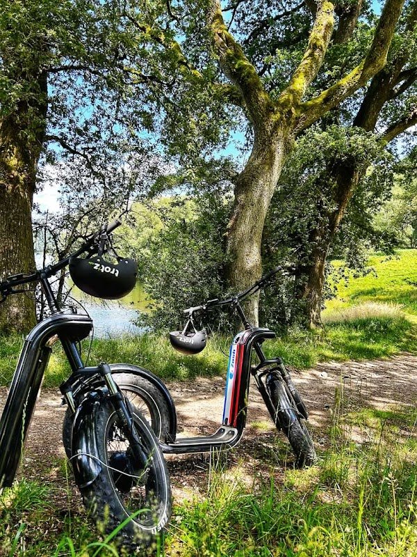 Trot'z Ride Shop - Photo 3