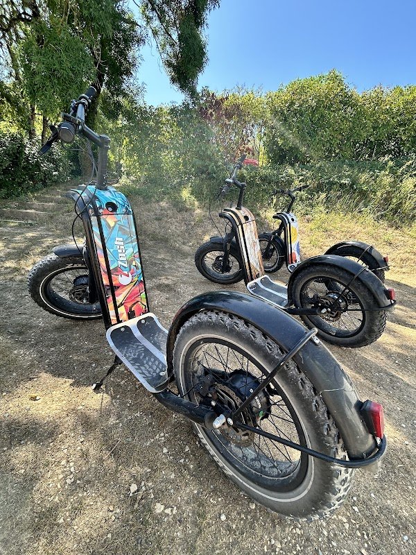 Trot'z Ride Shop - Photo 4