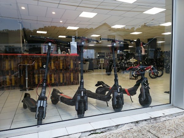 SARL Funny Birds - Drôle 2 Roue - Photo 3