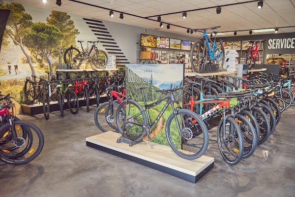 Flo Cycles - Photo 4
