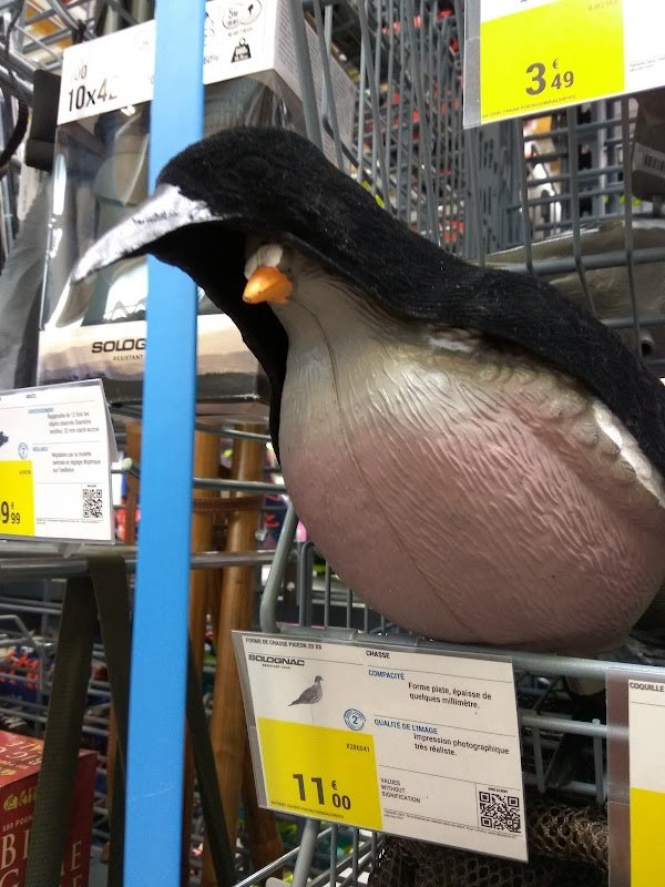 Decathlon Lannion - Photo 3