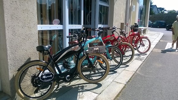 Klaxonnette Easy Watts Electra Bicycle Gaya Garelli Armony SUM - Photo 2