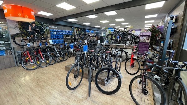 Giant Dijon - Photo 2