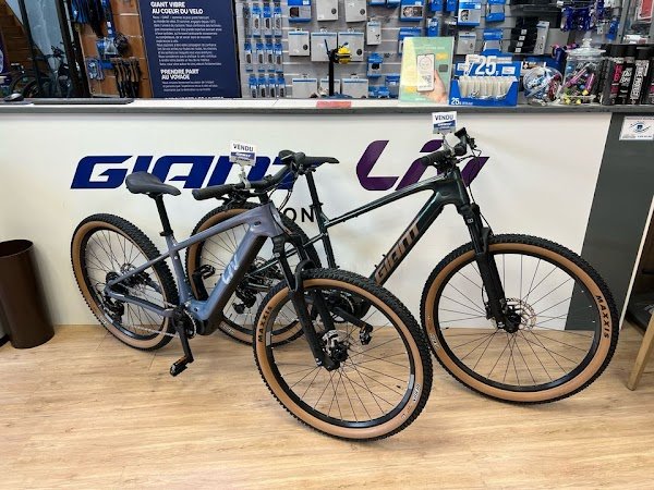 Giant Dijon - Photo 3