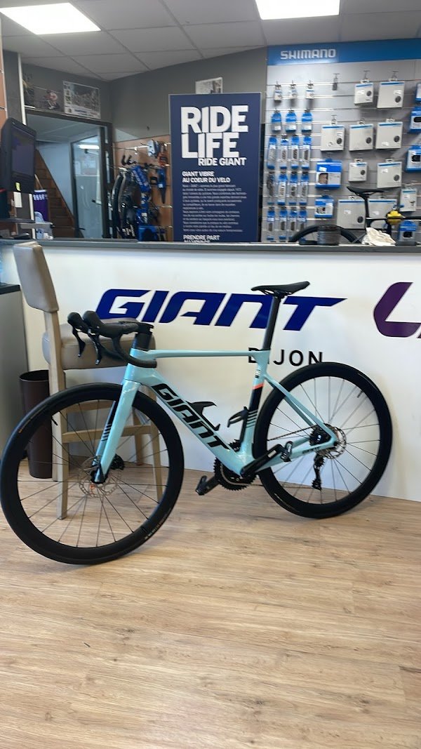 Giant Dijon - Photo 4