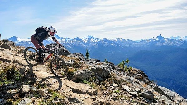 L'ATELIER VELO - Photo 3