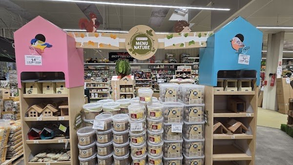 Thomas Pole Green - Photo 3