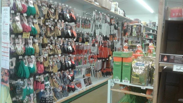 Thomas Pole Green - Photo 4