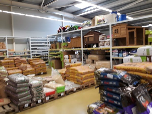 THOMAS RURAL MASTER - BOULAZAC ISLE-MANOIRE - Photo 4