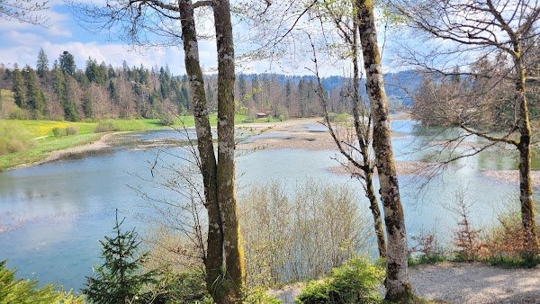 Les Flots du Lac - Photo 4