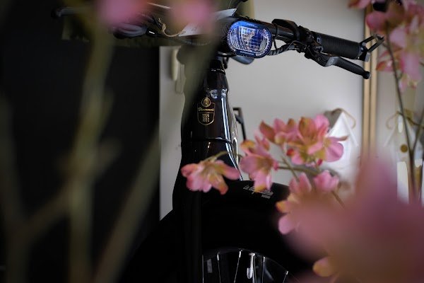 La Bicycletterie Suisse - Photo 4