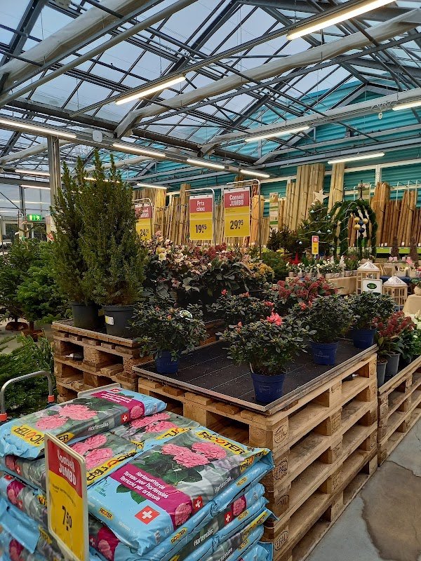 JUMBO Maximo Montagny - Photo 3