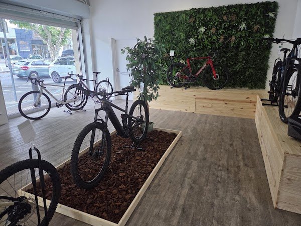 ALP-Bikes - Photo 5