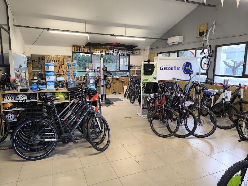 Sun-E-Bike - Magasin de vélo à Vaison la Romaine - Mont Ventoux (Location - Vente - Réparation)