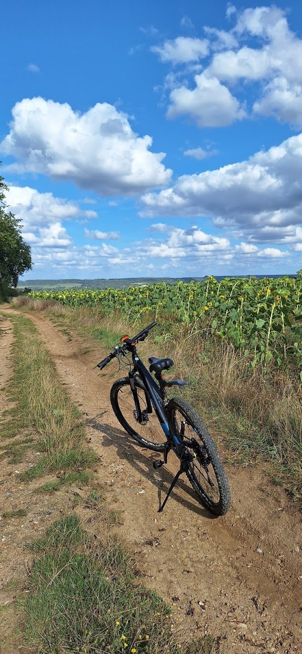 Alex's Bike Workshop - Photo 4