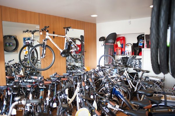 Electro-Scoot - Photo 2