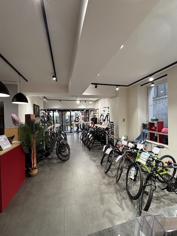 Cyclable Orléans - Photo 2