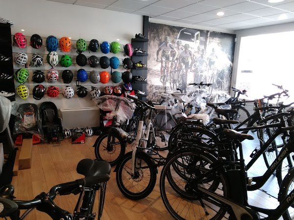 Free Wheel Bicycle Rental / VAE - Photo 2